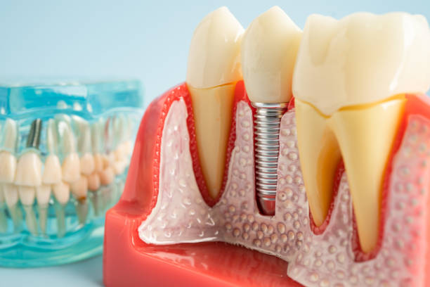 Best Emergency Dental Care  in Malverne, NY